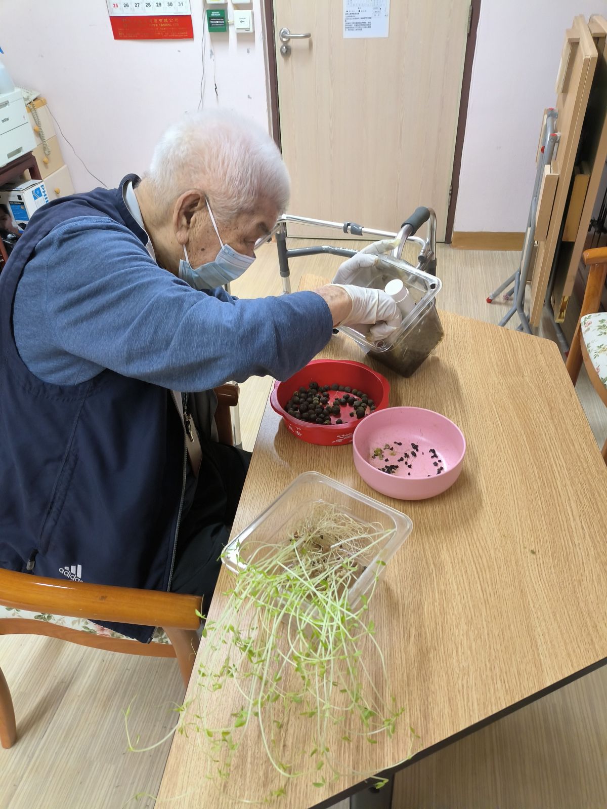 種植打理_2024年9月