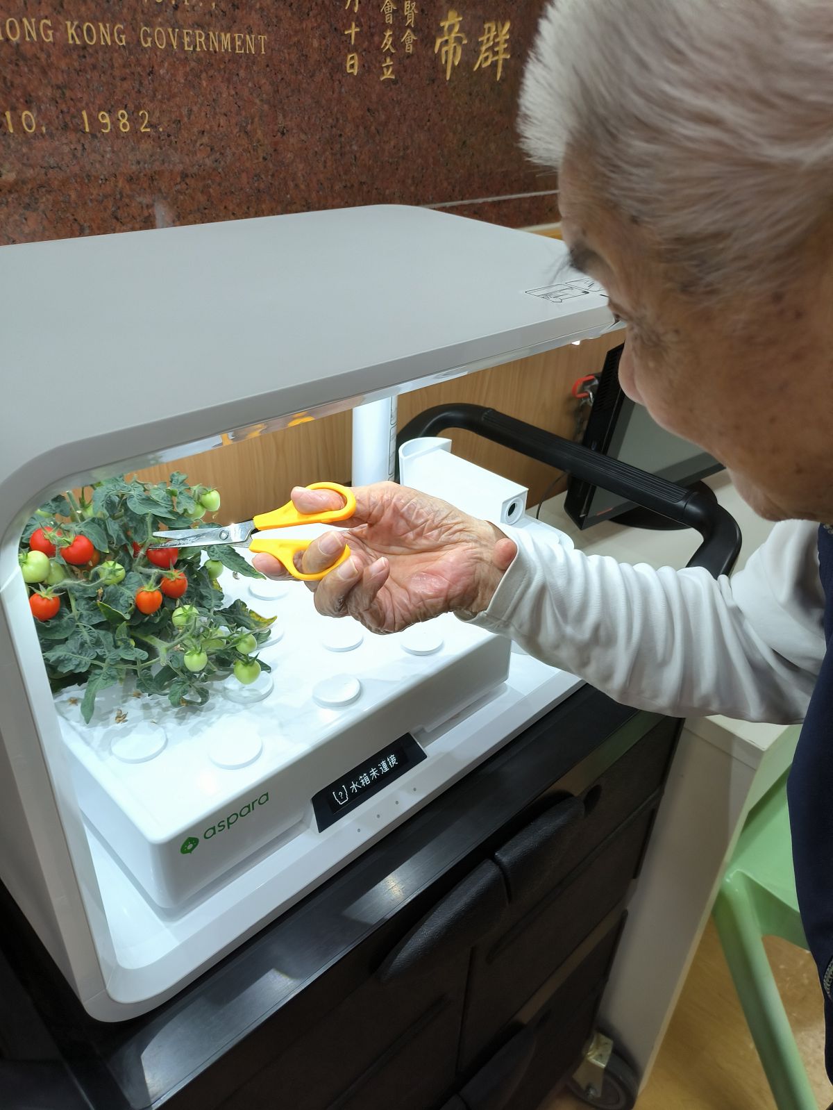 種植收割_2024年9月