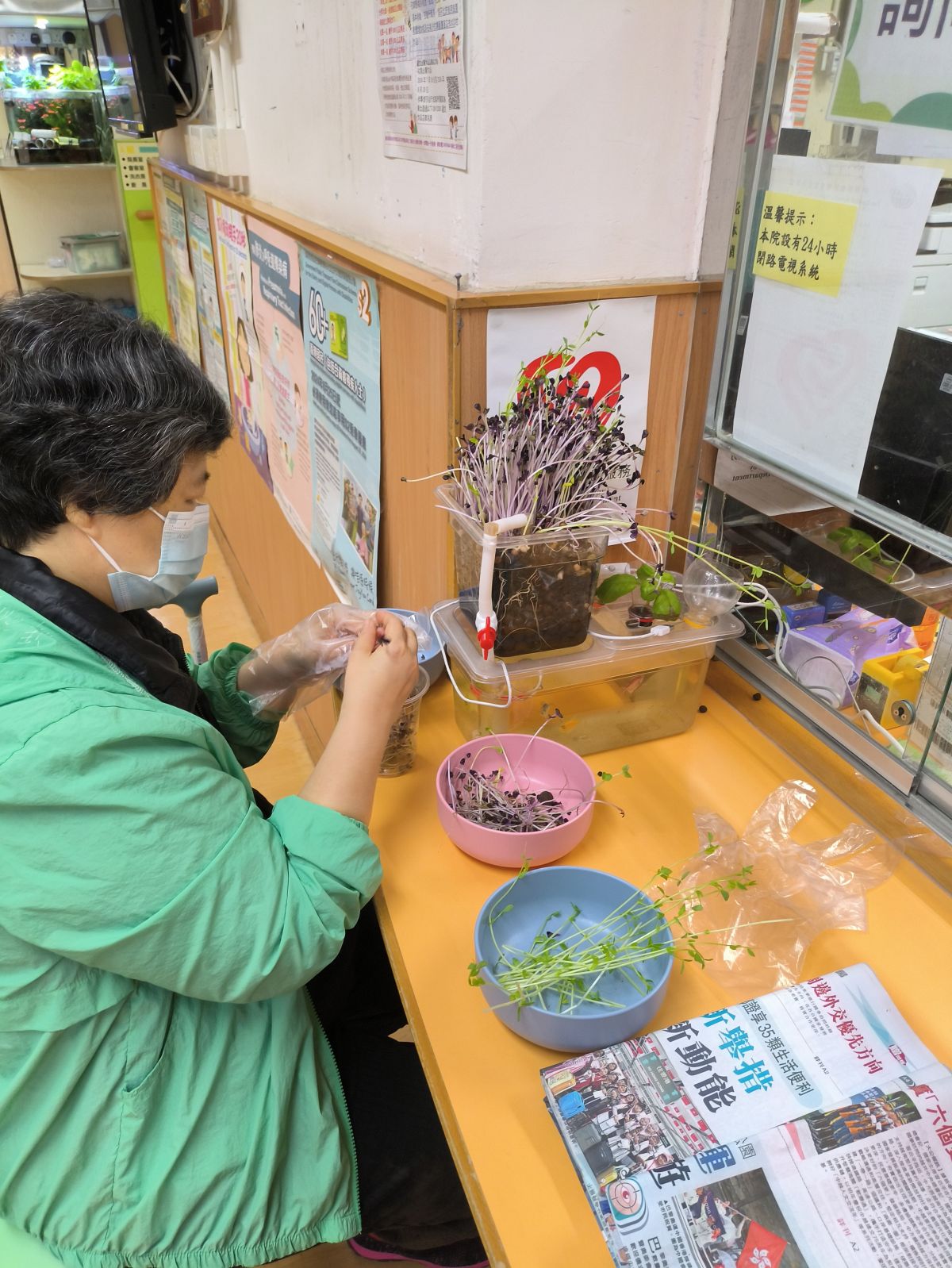 魚伴共生2024年9月